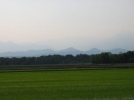 Les rizières de la plaine du Pô